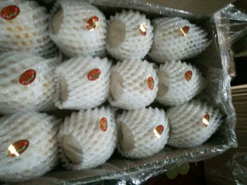 【优质】陕西蒲城酥梨，基地直发，纸袋150~200g