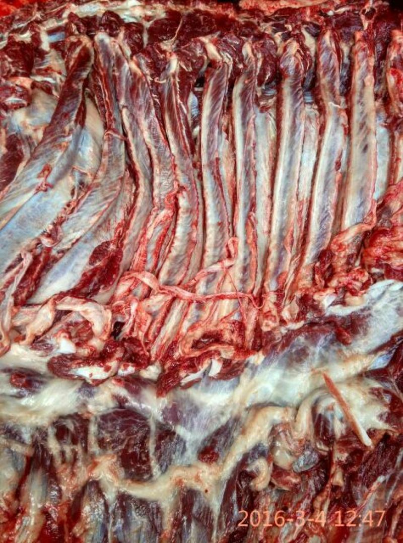 肉驴100~200斤