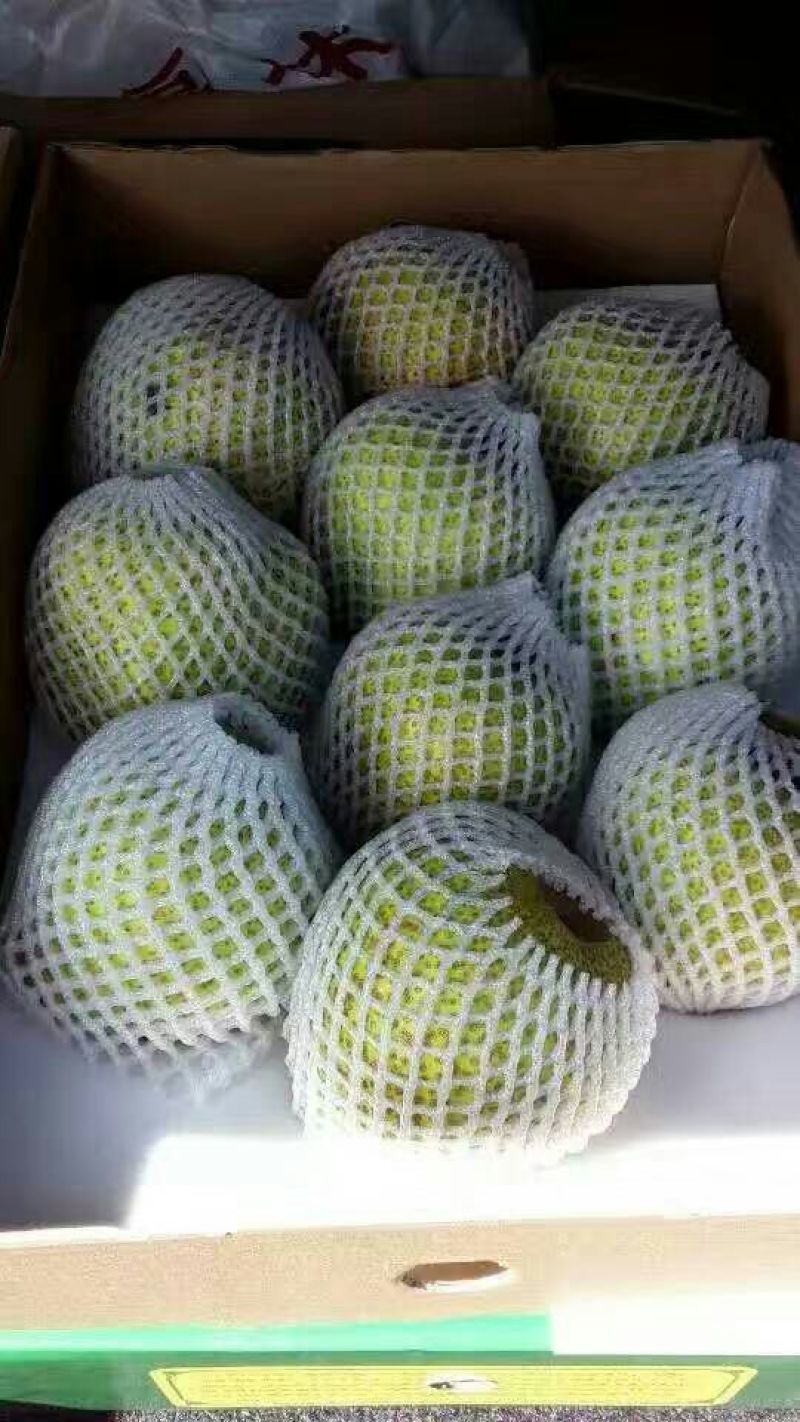 梨250~300g纸箱