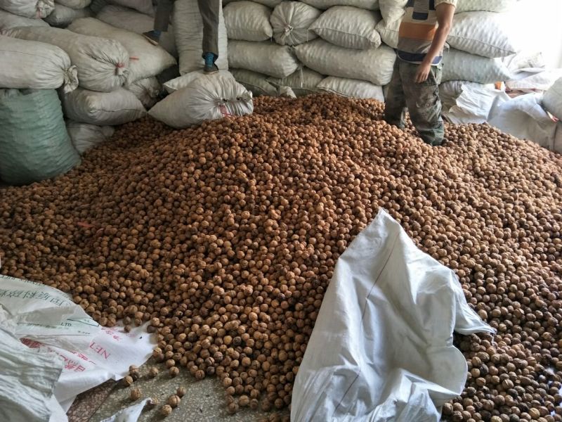 薄皮核桃30mm以上去皮干