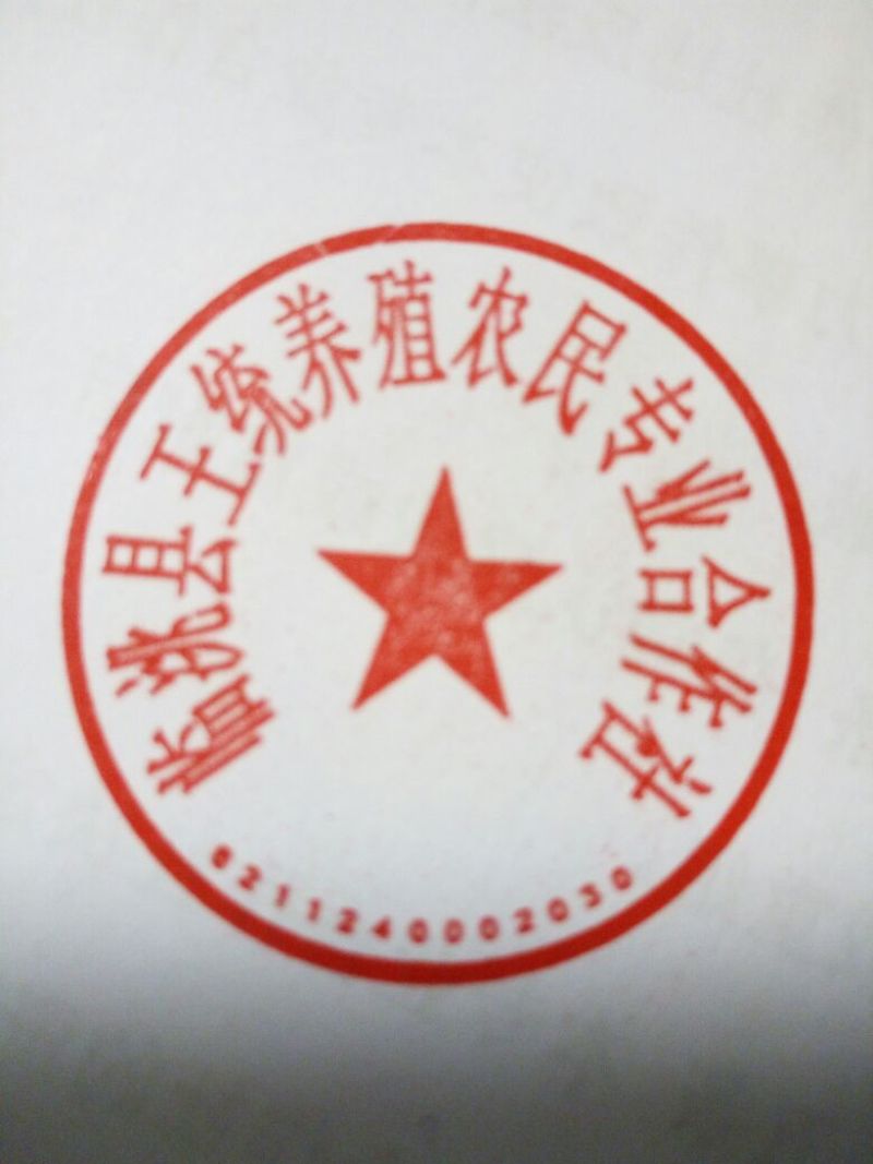 脱温鸡1斤以上