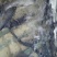 翘嘴白1~1.5斤