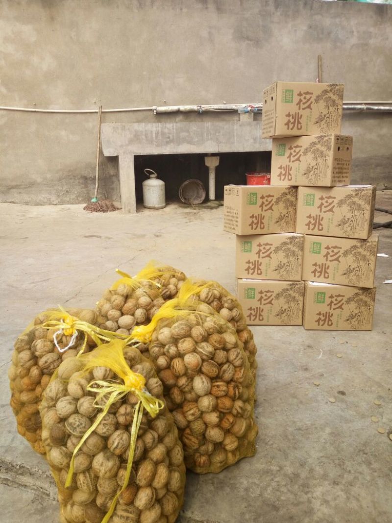 薄皮核桃30mm以上去皮
