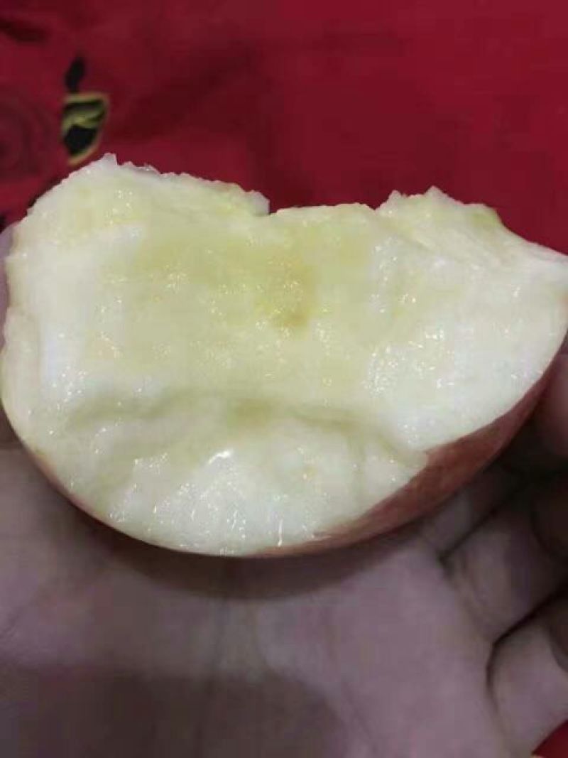红富士苹果纸夹膜红富士
