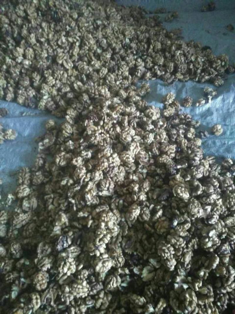 薄皮核桃去皮干