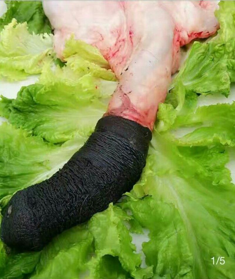 驴肉鲜货