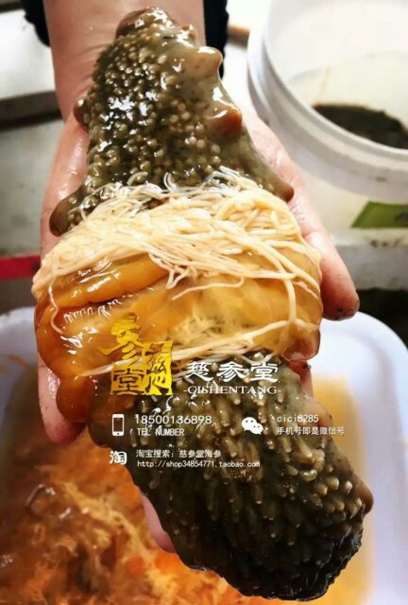 干海参食用淡干