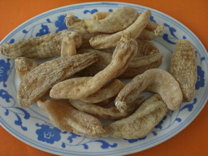 天麻野统