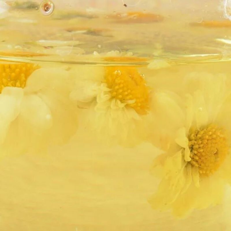 白菊花茶