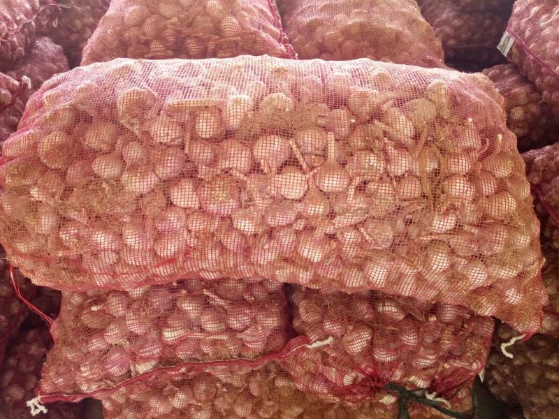 杂交大蒜5~5.5cm干蒜
