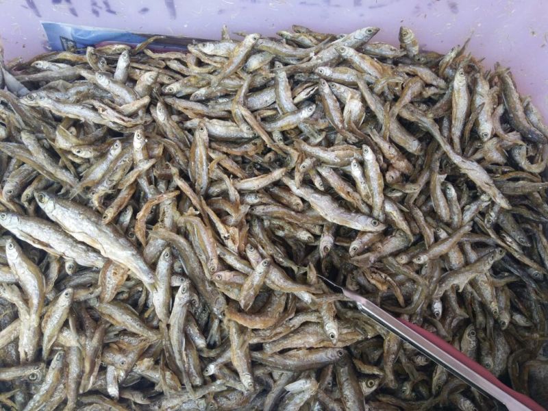 鱼干炸鱼干