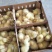 三花鹅苗250g以下