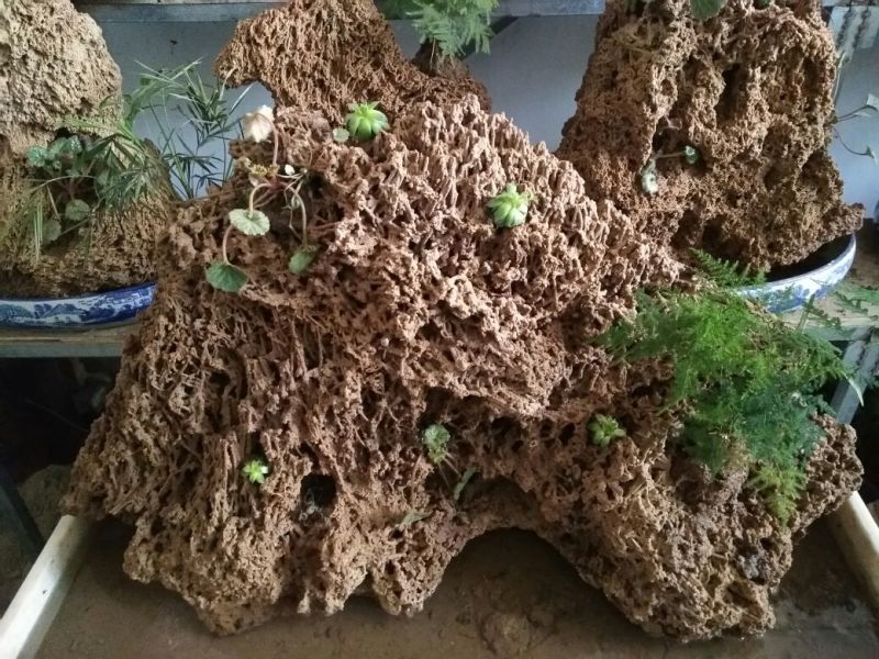 上水石规格齐全造型漂亮质量保证价格合理