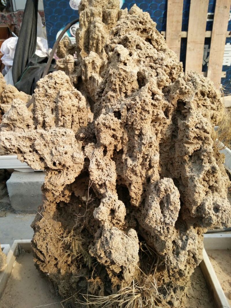 上水石规格齐全造型漂亮质量保证价格合理