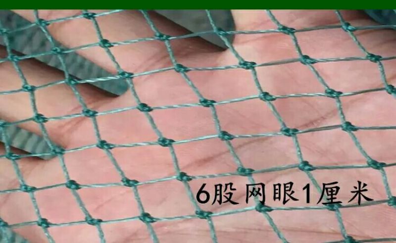 山药架网8*100m