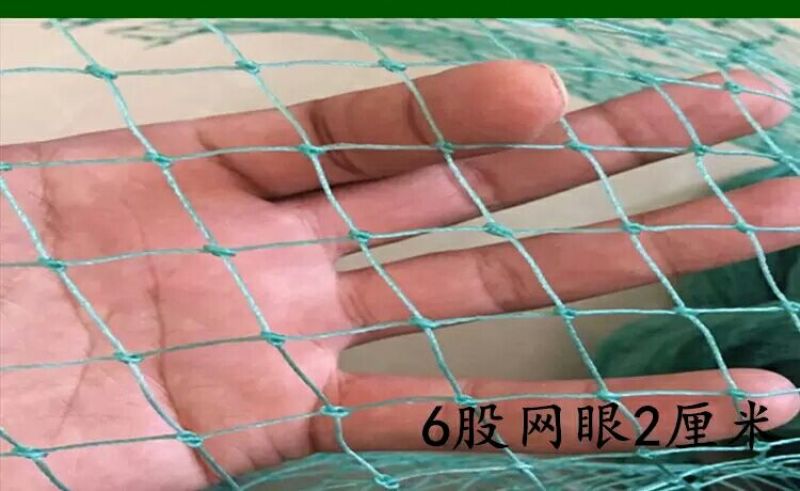 山药架网8*100m
