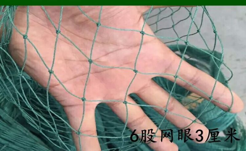 山药架网8*100m