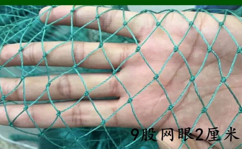 山药架网8*100m