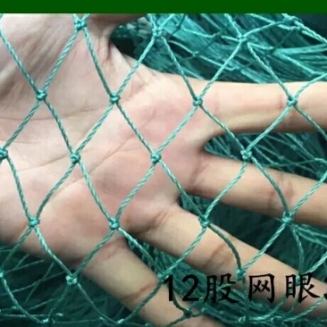 山药架网8*100m