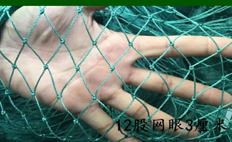 山药架网8*100m
