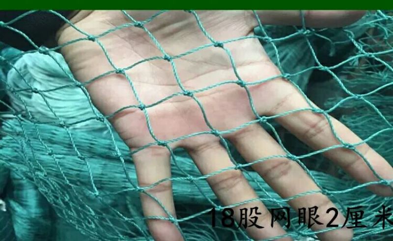 山药架网8*100m