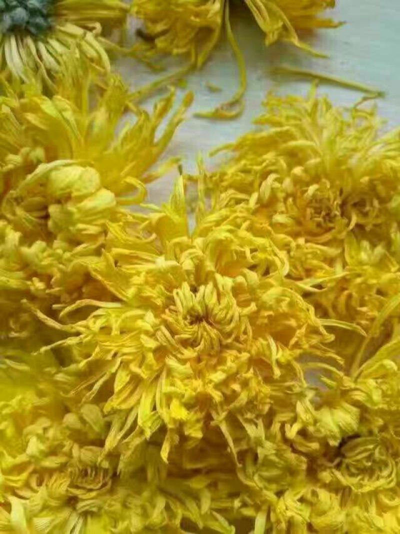 菊花茶
