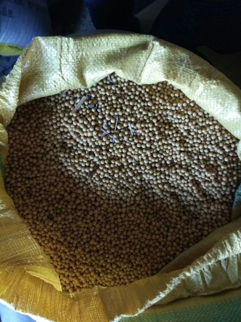 芽豆食用