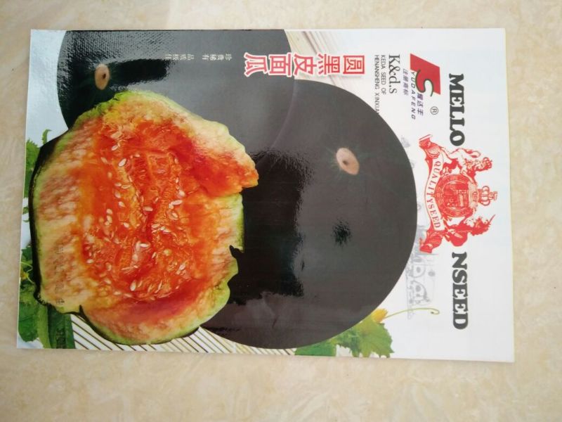 甜瓜种子