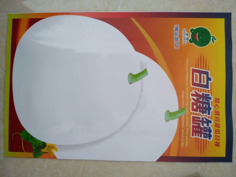 甜瓜种子