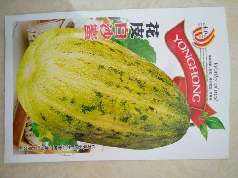 甜瓜种子