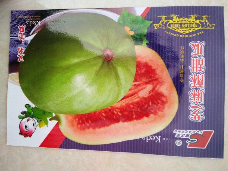 甜瓜种子