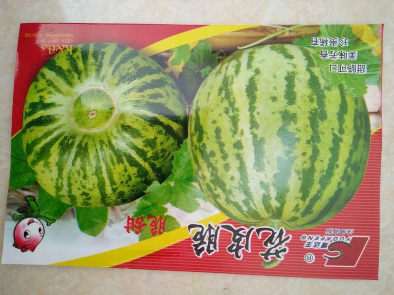 甜瓜种子