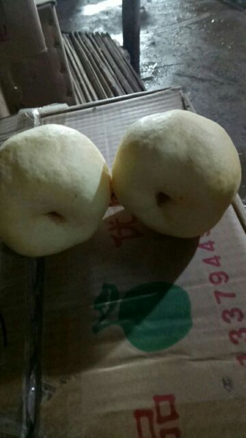 蒲城坡地货大量供应，冷库货大量供应中