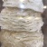 优选燕窝印度尼西亚石板上燕子用体内的物质做出来的燕窝