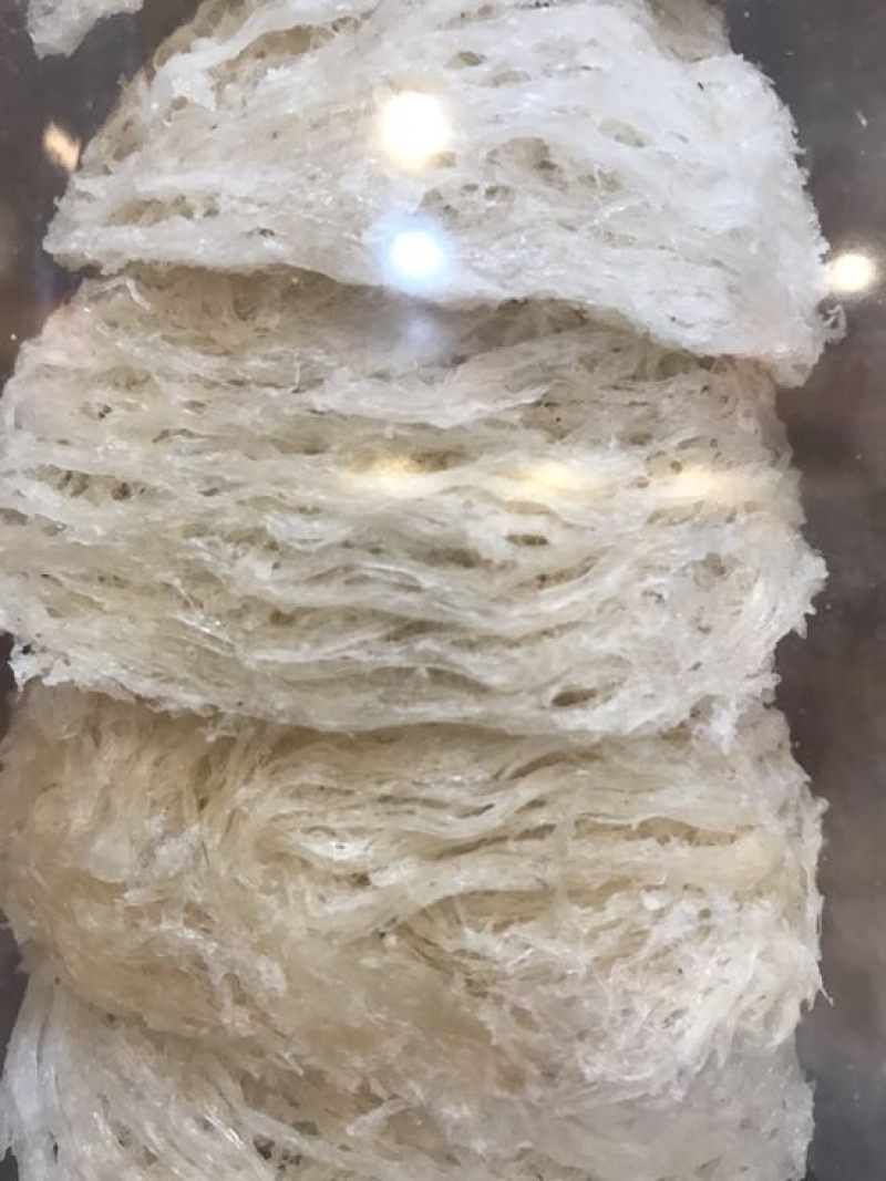 优选燕窝印度尼西亚石板上燕子用体内的物质做出来的燕窝