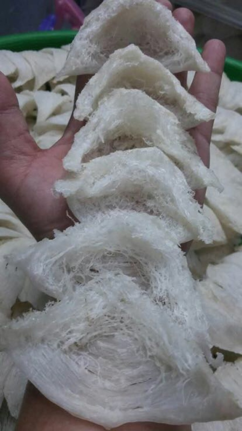 优选燕窝印度尼西亚石板上燕子用体内的物质做出来的燕窝
