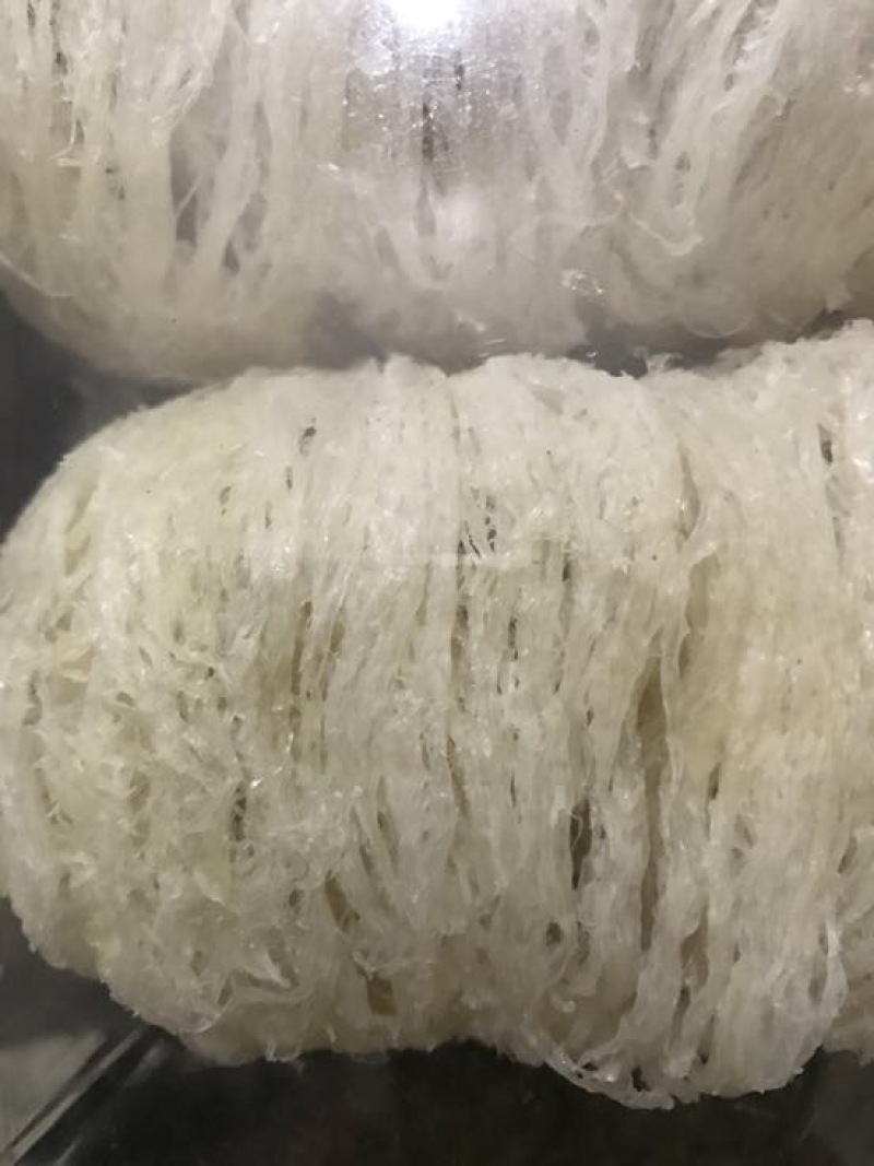 优选燕窝印度尼西亚石板上燕子用体内的物质做出来的燕窝