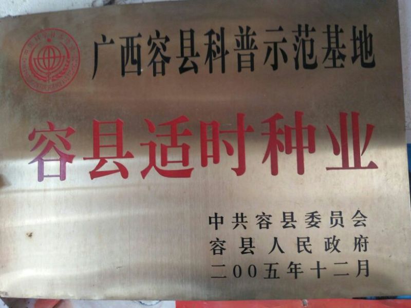 柚子树30~50cm