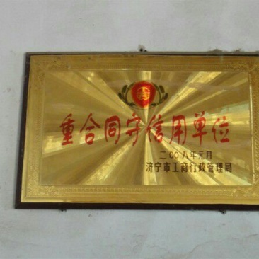 白鸽母