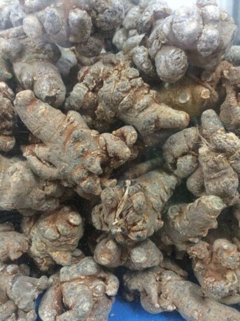 三七