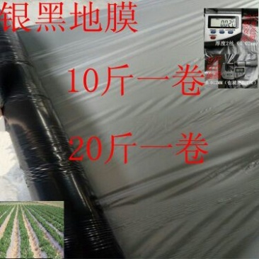 地膜银灰膜银黑膜反光膜黑白膜瓜果树苗木瓜果蔬菜专用膜