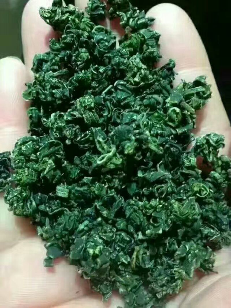 枸杞叶茶一级