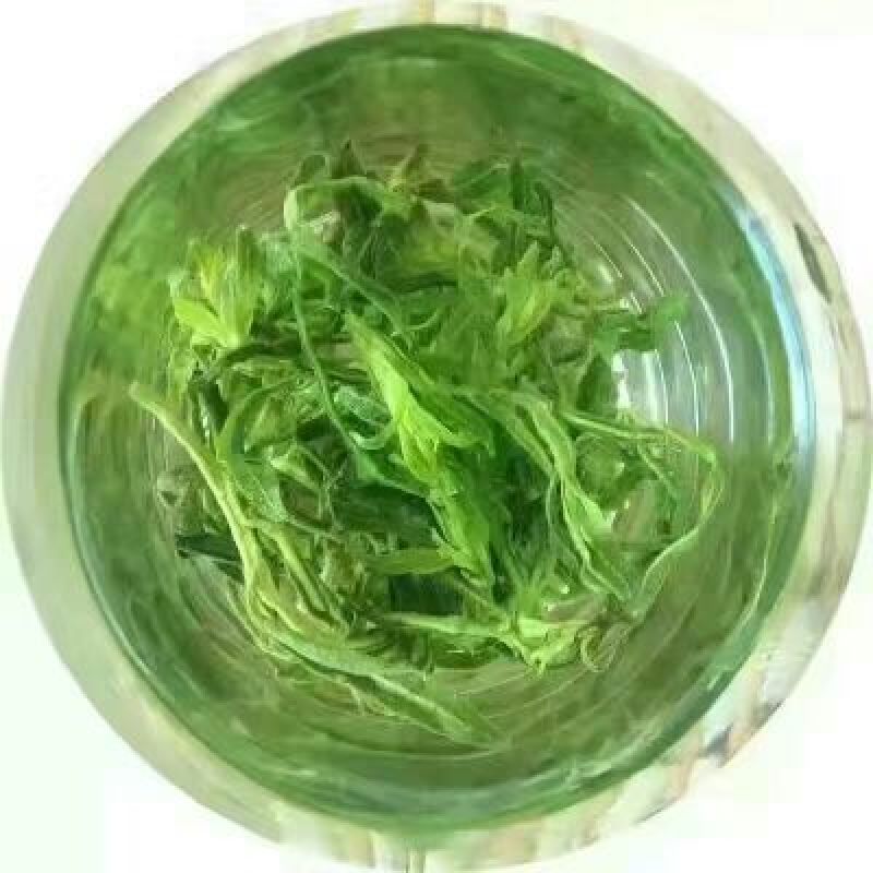 枸杞叶茶一级