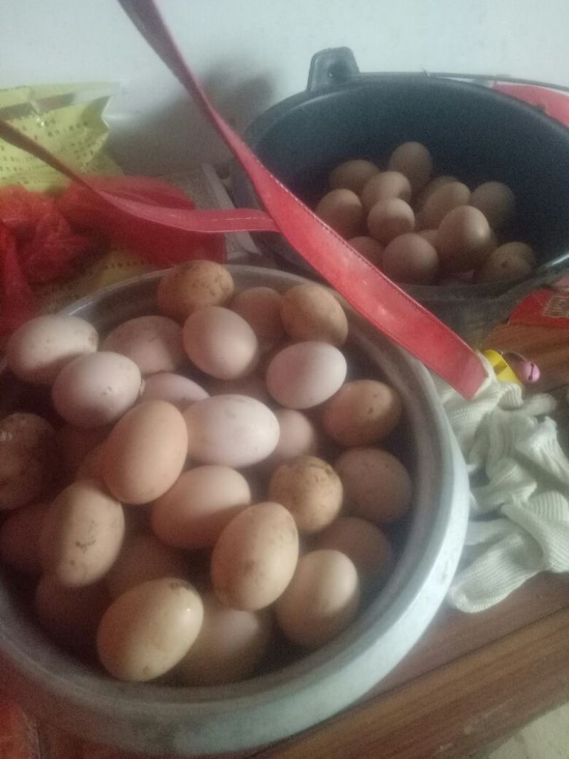 土鸡蛋食用40~50g