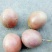 百香果黄果70~80g