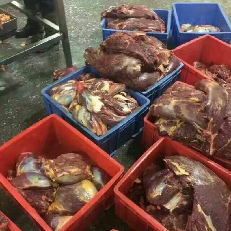 马肉冷冻