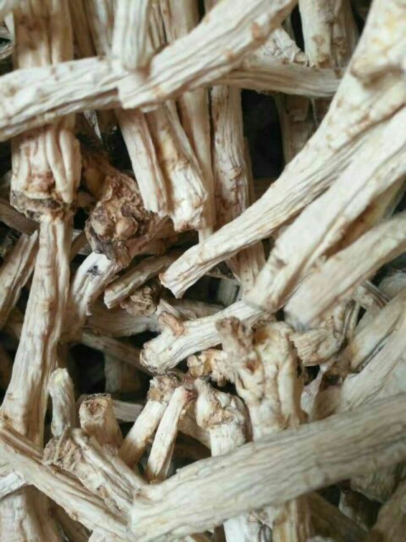 商洛高含量桔梗，去皮桔梗个子大选条