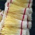 精品韭黄头茬20~30公分，现已上市