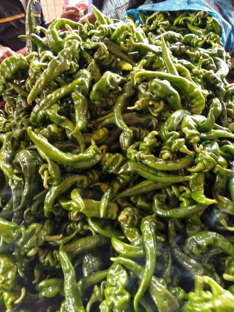 螺丝椒5~10厘米中辣黄