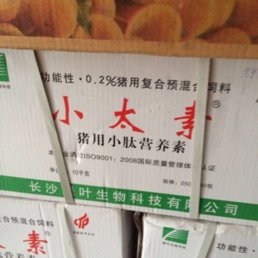 猪饲料